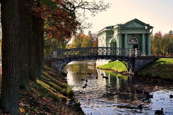 Гатчина парк осенью