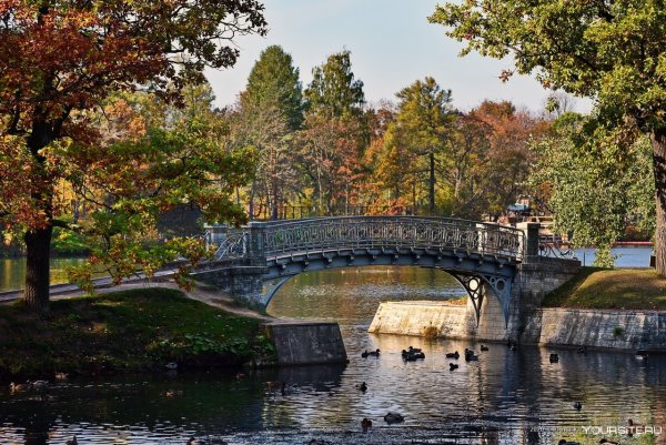 Осенний парк в Гатчине