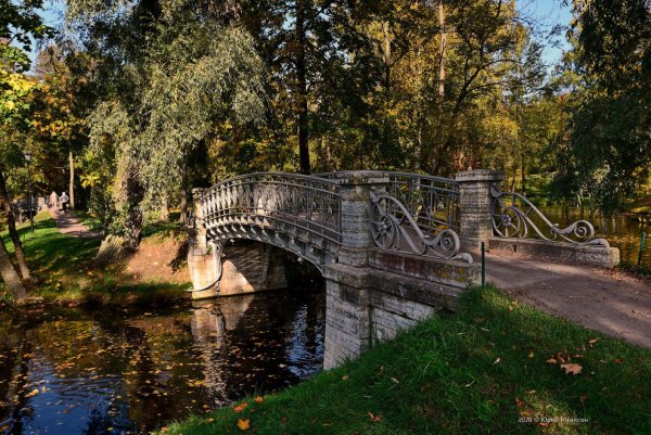 Гатчина парк осенью