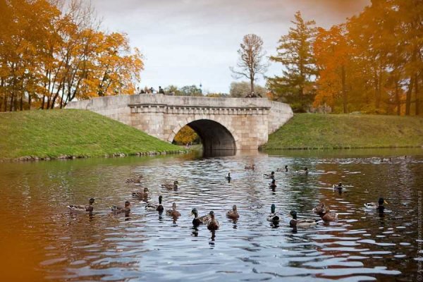 Гатчина парки