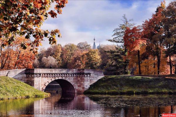 Дворцовый парк в Гатчине осенью