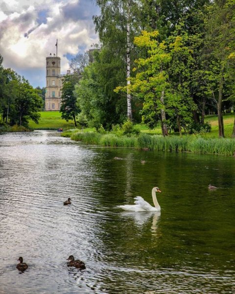 Гатчина Санкт-Петербург Дворцовый парк
