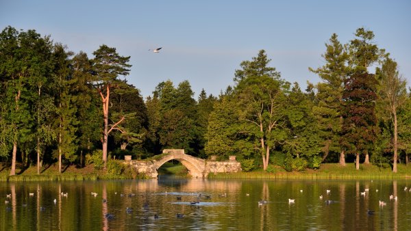 Гатчина парк и дворец