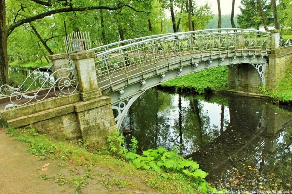 Гатчина Санкт-Петербург Дворцовый парк