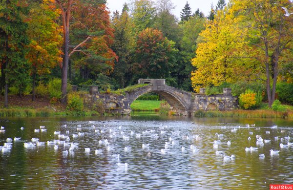 Горбатый мост в дворцовом парке Гатчины