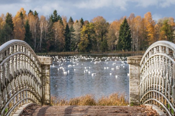 Гатчина парк ноябрь