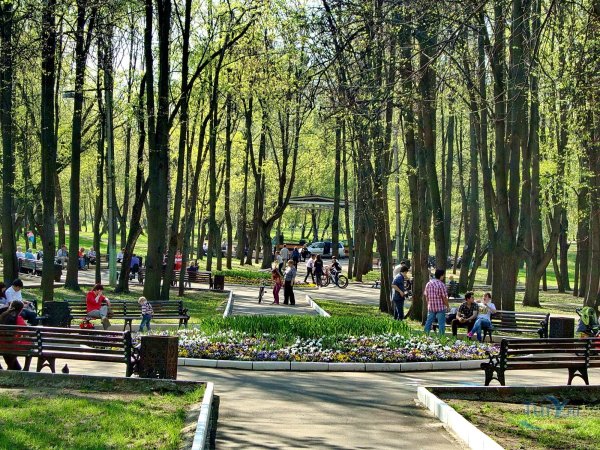 Усадьба Люблино парк лето