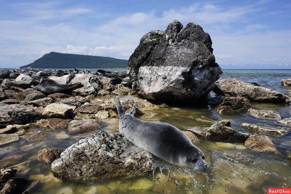 Ушканьи острова на Байкале