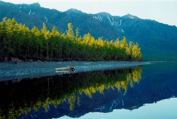 Флоры Байкал озеро