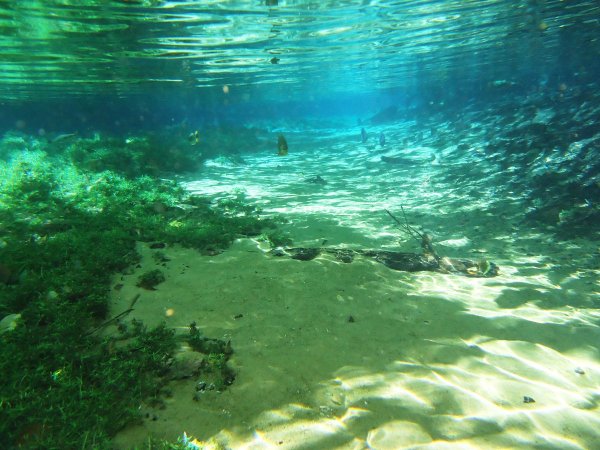 Река Рио-да-Прата Бразилия