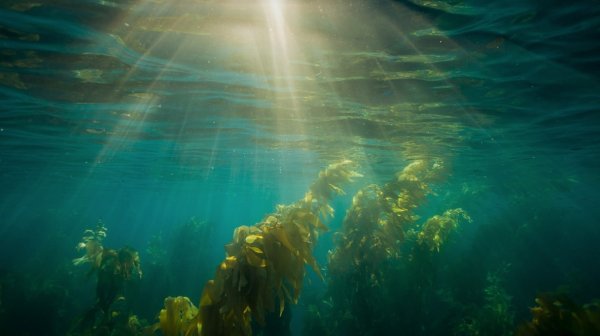 Лучи солнца под водой