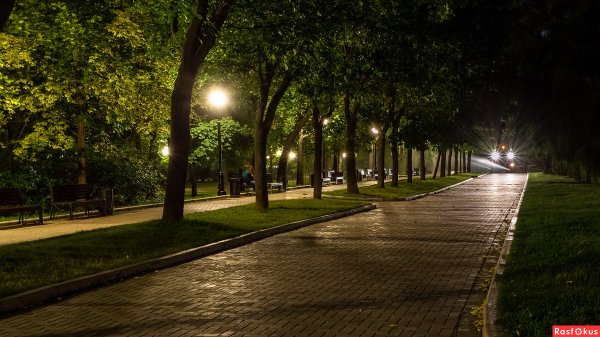 Ночной парк Москва Горькова