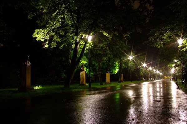 Парк Победы Петербург ночь