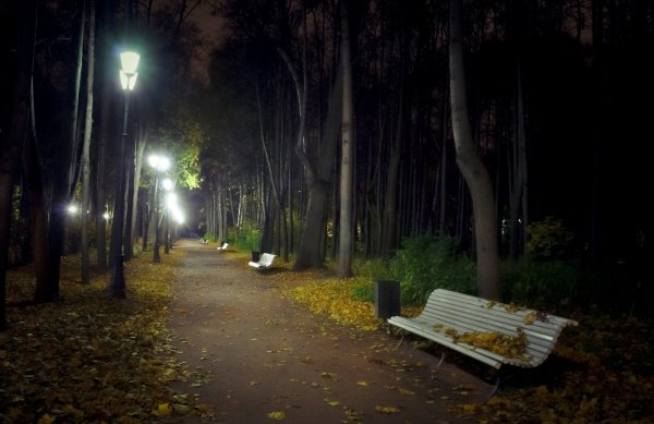 Нескучный сад вечером