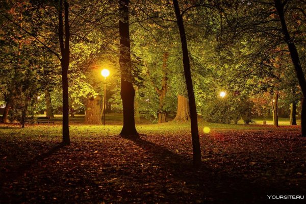 Ночной осенний парк