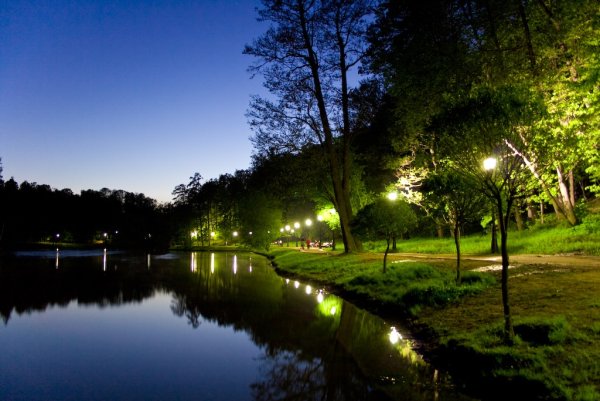 Парк ночью летом