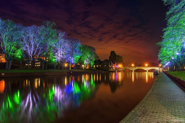 Парк Горького подсветка деревьев в парке Горького