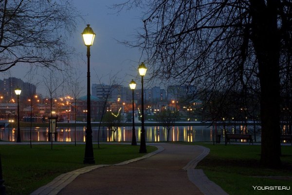 Ночной парк в Москве