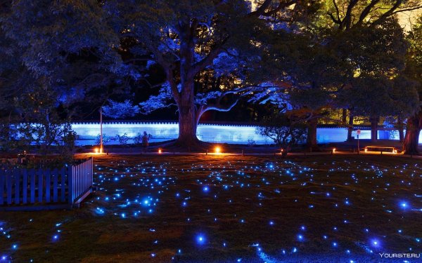 Ночные парк Киото