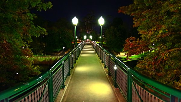 Паланга мостик