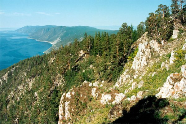 Реликтовый ельник Байкала