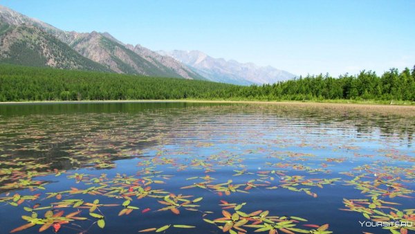Байкало-Ленский заповедник