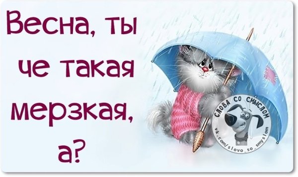 Погода ты что такая мерзкая картинка
