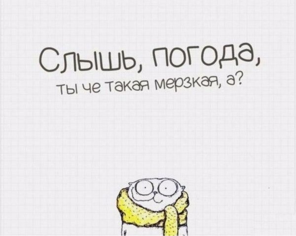 Смешные цитаты про погоду