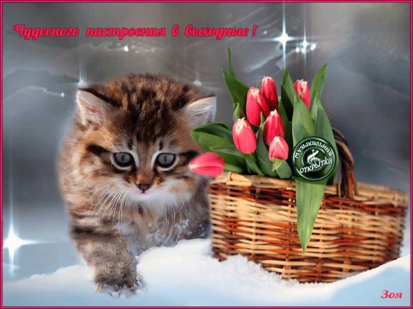 Весенних выходных и отличного настроения