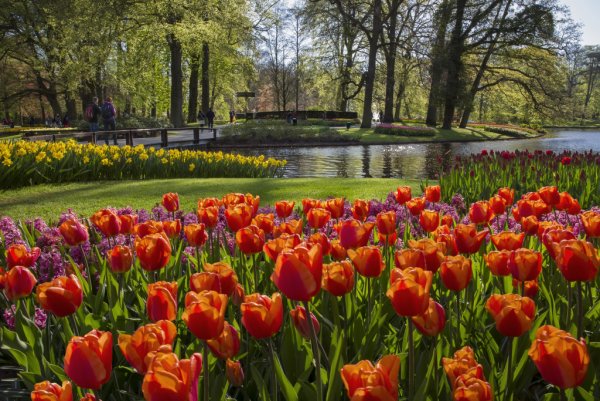 Парк Кейкенхоф (Keukenhof), Лисс история парка