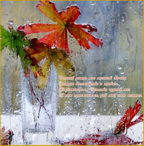 Хорошего настроения в дождливую погоду