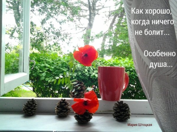 Распогодится и за окном и в жизни