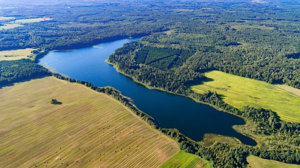 Белое озеро (Гродненская область)
