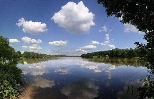 У реки два берега