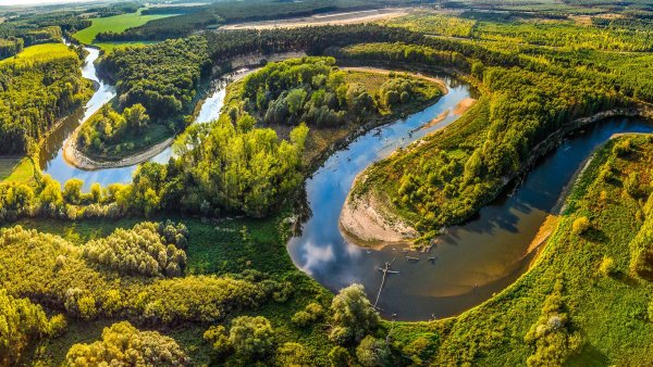 Река Морава Чехия