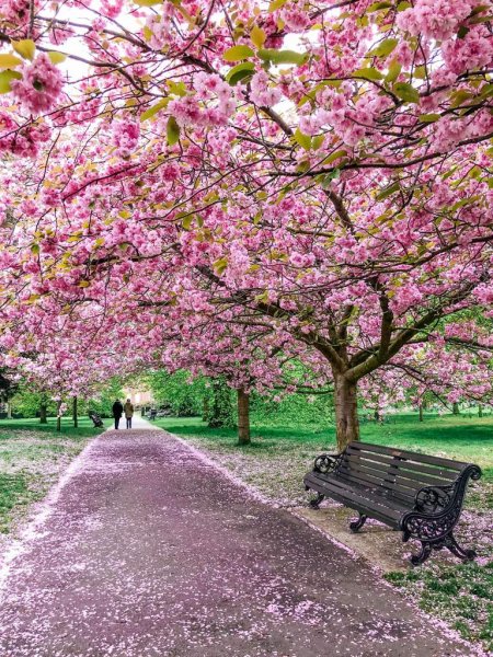 Весенний парк