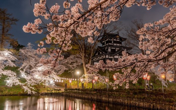 Цветение Сакуры в Японии сады