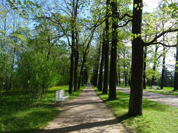 Пушкинский парк Нижний Новгород