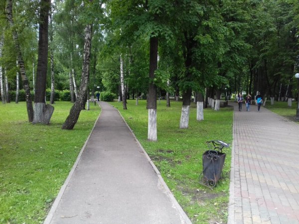 Парк культуры и отдыха Пушкино Московская область