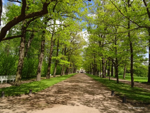 Рамповая аллея в Екатерининском парке