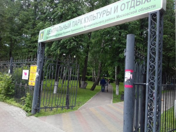 Пушкино парк культуры