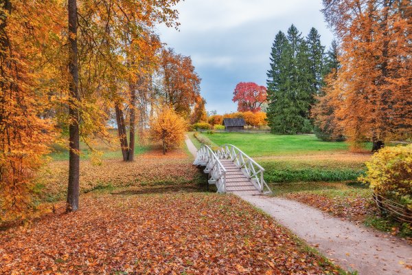 Усадьба Михайловское Пушгоры осенью