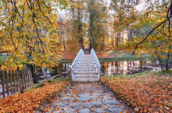 Пушгоры осень Михайловское