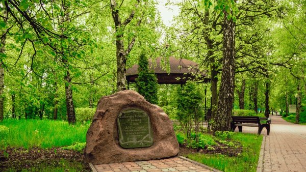 Северное Тушино парк аллея Пушкина