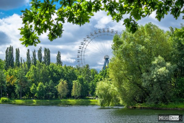 Лето Москва парк Измайлово