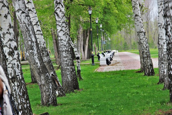 Парк Березовая роща Слободской