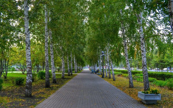 Березова роща сквер Омск