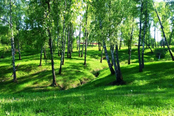 Курский парк Соловьиная роща