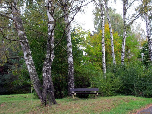 Иркутск парк Березка