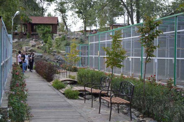 Парк малинки в Ростовской области